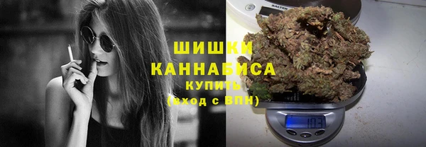 дурь Бронницы