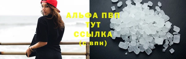 тгк Бородино