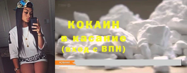 тгк Бородино