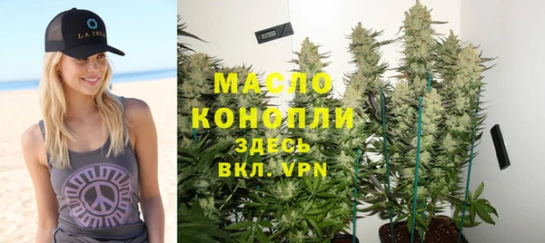 тгк Бородино
