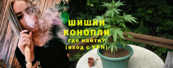 тгк Бородино