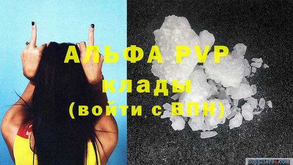 тгк Бородино