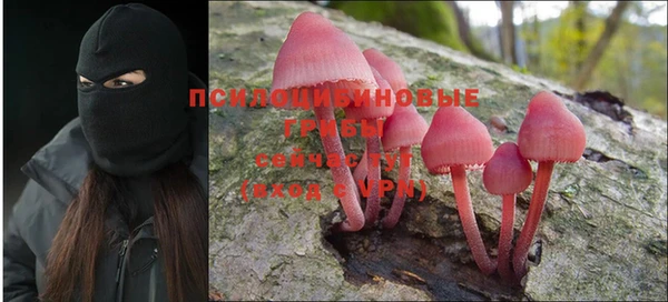 дурь Бронницы