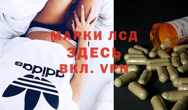 тгк Бородино