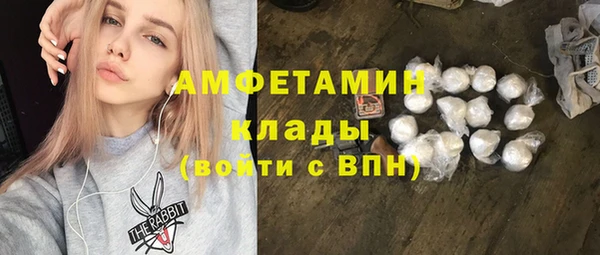 тгк Бородино