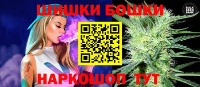 spice Кингисепп