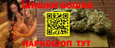 spice Кингисепп