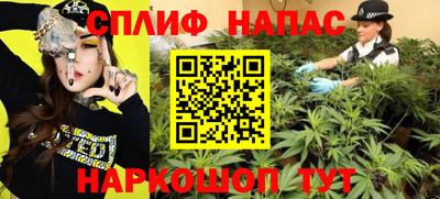 spice Кингисепп