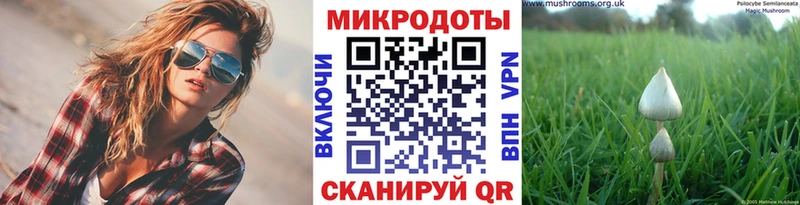 Галлюциногенные грибы Cubensis  Буйнакск 